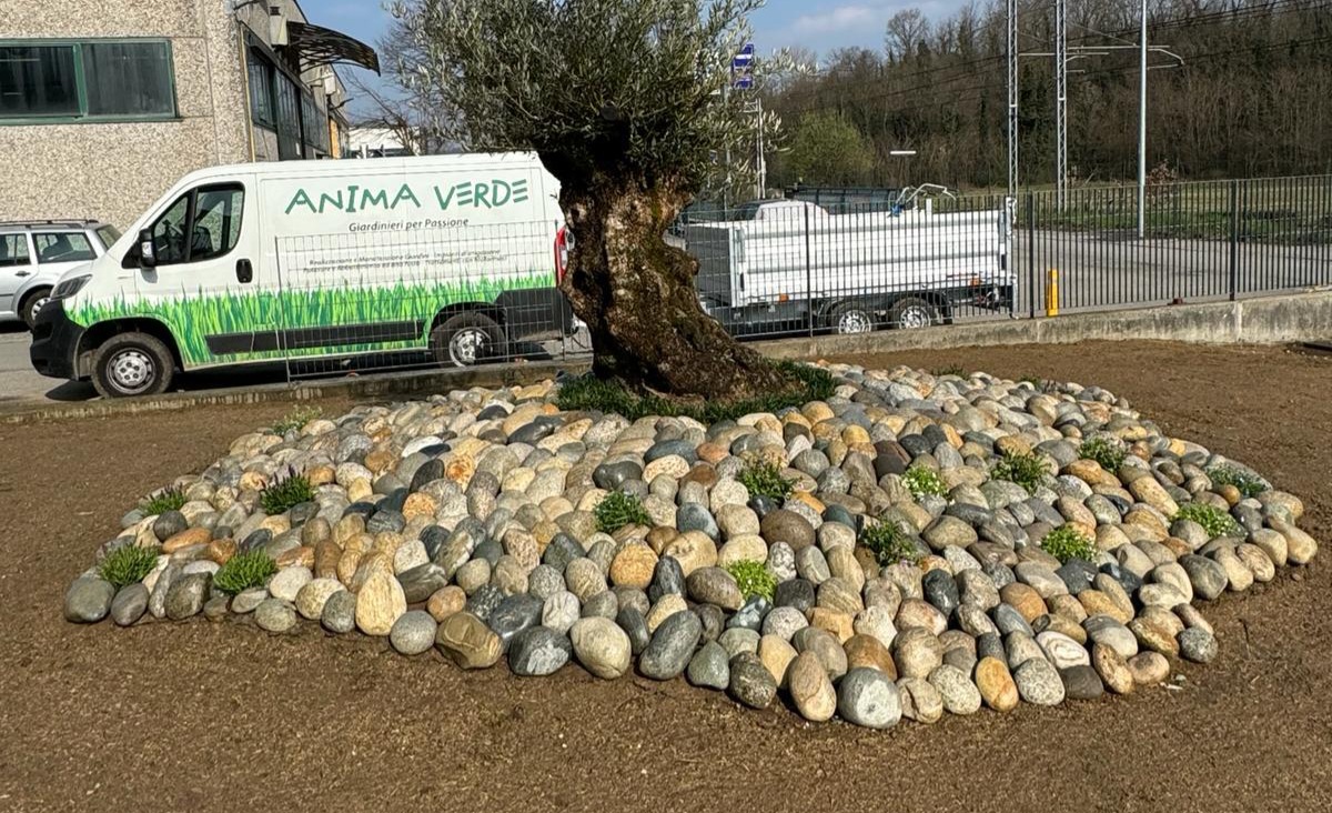 Anima Verde - Chi Siamo